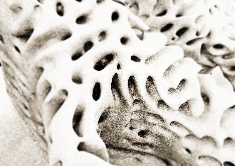 Reefs