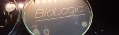 nexto BioLogic workshop report