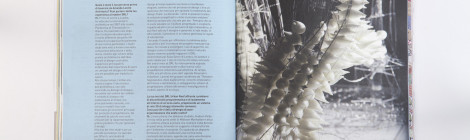 SELF-ORGANIZED SYSTEM_CITYVISION MAG_ISSUE N.4